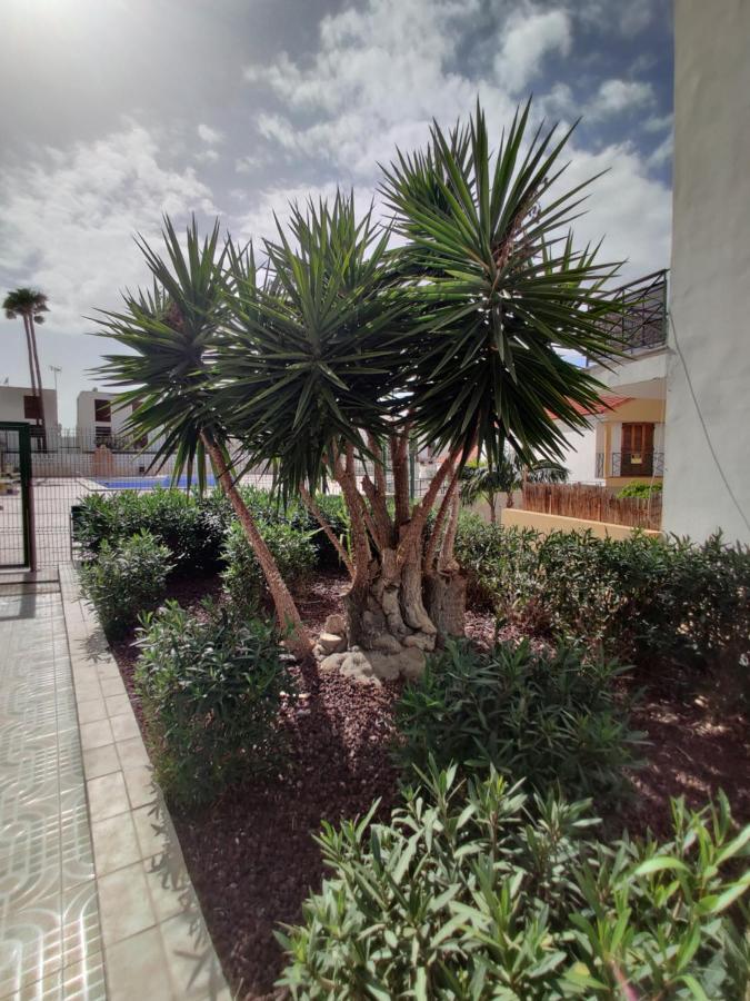 Apartment Soleil Altamar Playa de las Americas  Exterior foto
